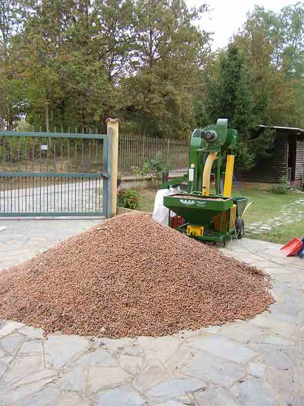 Pulitura delle nocciole con ventilatore separatore ad aria